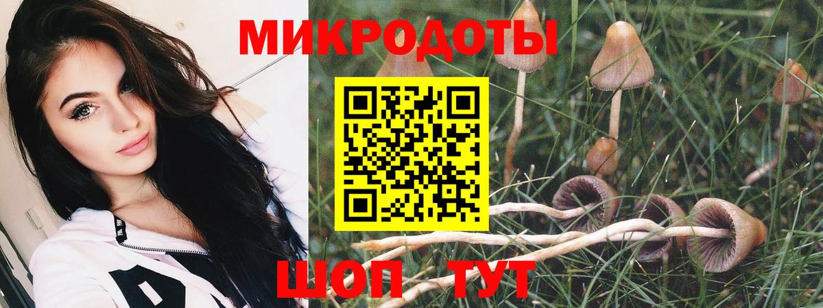 Серов  Галлюциногенные грибы мухоморы  Вход с VPN 